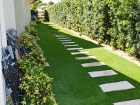 Artificial Grass (13)