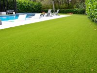 Artificial Grass (2)