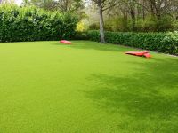 Artificial Grass (3)