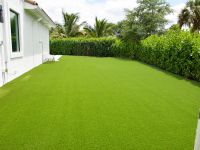 Artificial Grass (5)