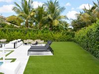 Artificial Grass (6)