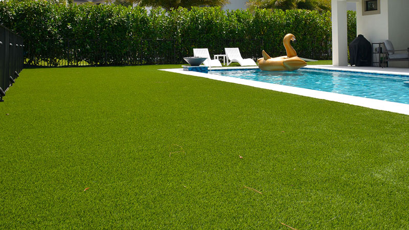 Artificial Grass